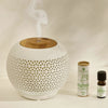 Huile essentielle de litsée citronnée 10 ml Lina Atmosphera