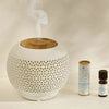 Huile essentielle d'eucalyptus radié 10ml Lina Atmosphera