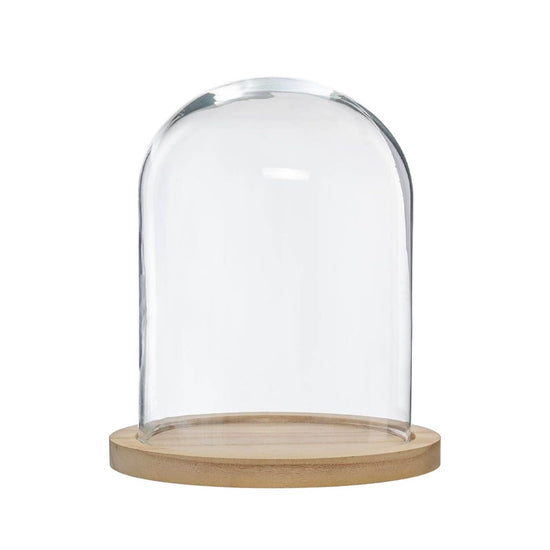 Cloche en verre et bois 29,5 cm Atmosphera