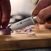 Couteau d'office en acier inoxydable 10 cm Four Star Zwilling